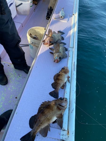 海龍丸（石川） 釣果