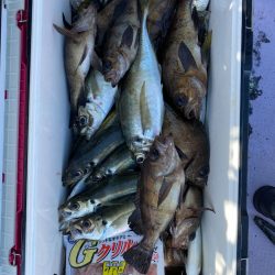 海龍丸（石川） 釣果