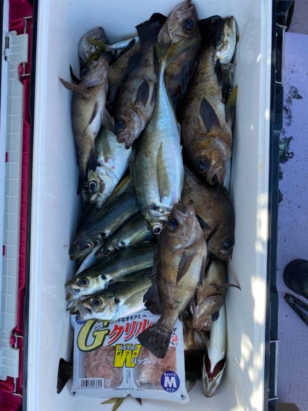 海龍丸（石川） 釣果