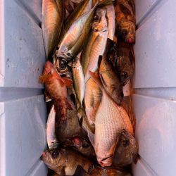 海龍丸（石川） 釣果