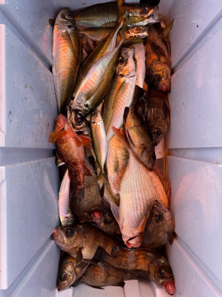 海龍丸（石川） 釣果