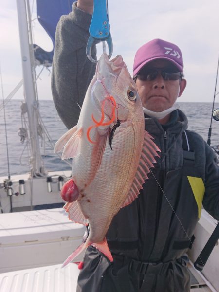 ARCADIAⅡ (アルカディアⅡ) 釣果