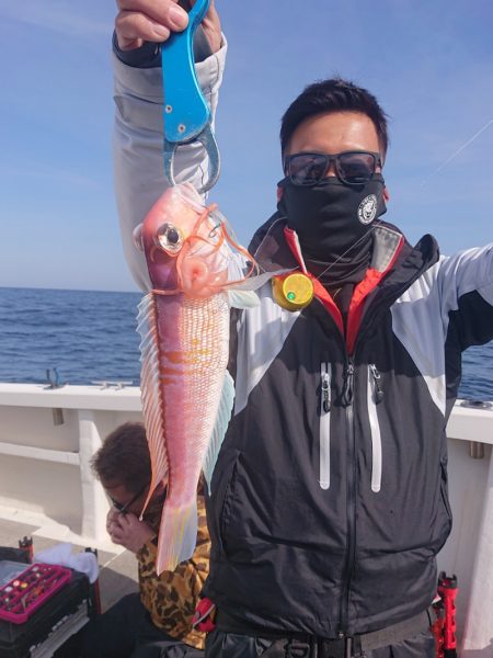 ARCADIAⅡ (アルカディアⅡ) 釣果