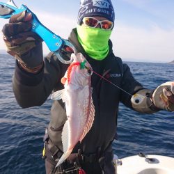 ARCADIAⅡ (アルカディアⅡ) 釣果