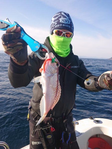 ARCADIAⅡ (アルカディアⅡ) 釣果