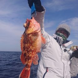 ARCADIAⅡ (アルカディアⅡ) 釣果