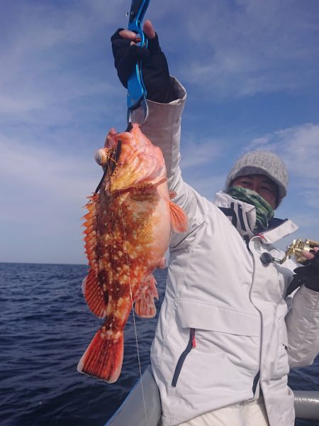 ARCADIAⅡ (アルカディアⅡ) 釣果