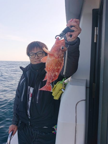 ARCADIAⅡ (アルカディアⅡ) 釣果