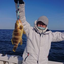 ARCADIAⅡ (アルカディアⅡ) 釣果