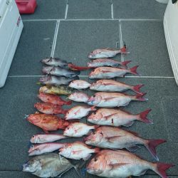 ARCADIAⅡ (アルカディアⅡ) 釣果