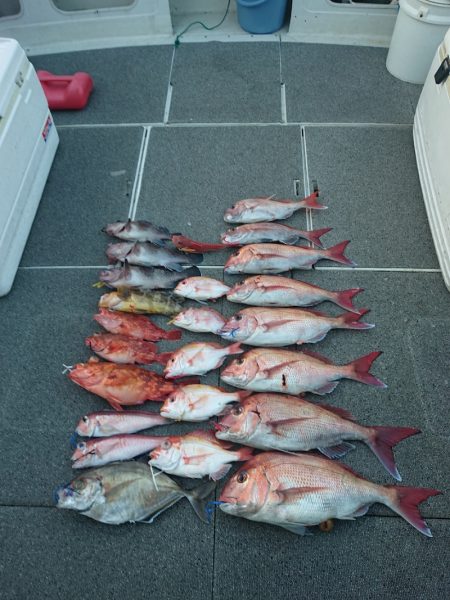 ARCADIAⅡ (アルカディアⅡ) 釣果