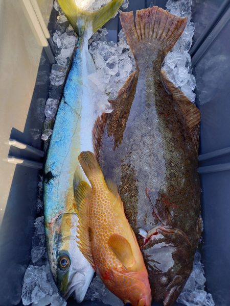 第二龍勢丸 釣果