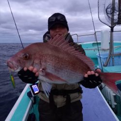 富士丸 釣果