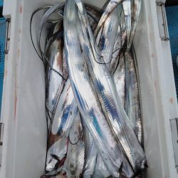 シースナイパー海龍 釣果