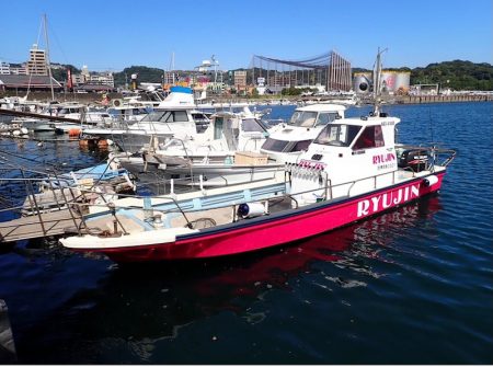 龍神丸(鹿児島) 釣果