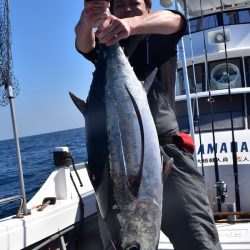 渡船屋たにぐち 釣果