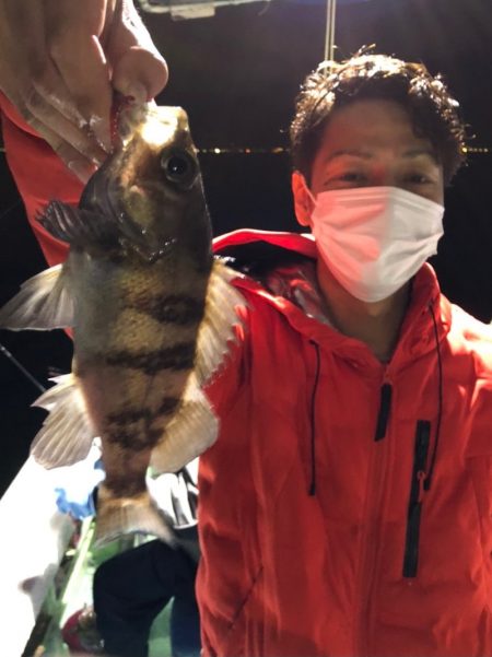 ヤザワ渡船 釣果