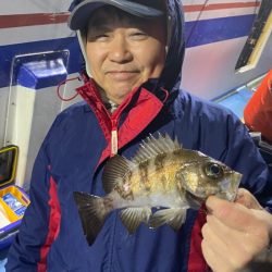 ヤザワ渡船 釣果