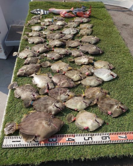 ブルースフィッシングサービス 釣果