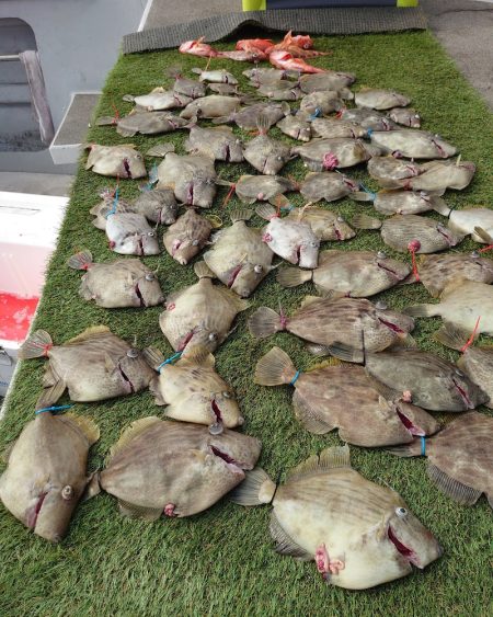 ブルースフィッシングサービス 釣果