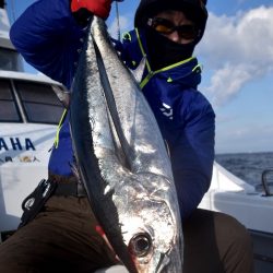 渡船屋たにぐち 釣果