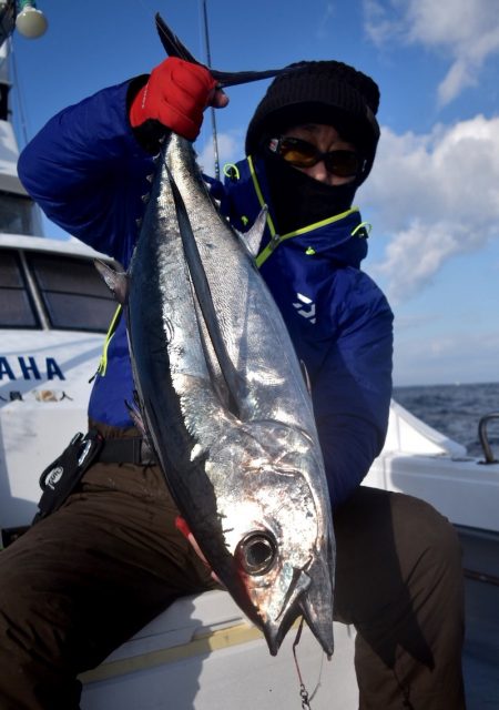 渡船屋たにぐち 釣果