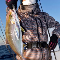 渡船屋たにぐち 釣果