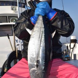 渡船屋たにぐち 釣果