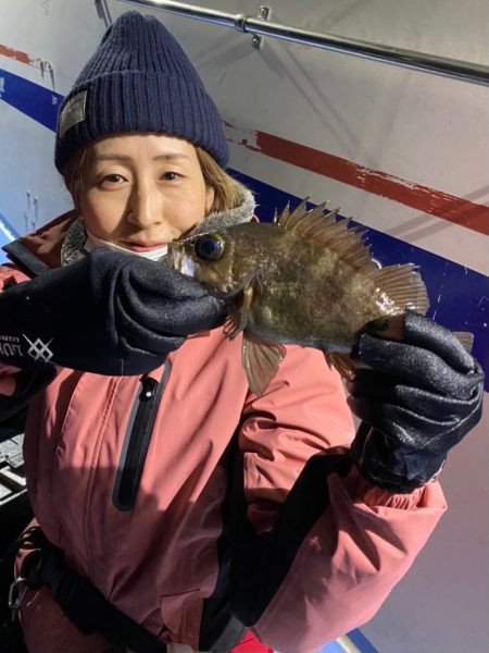 ヤザワ渡船 釣果