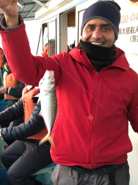 ヤザワ渡船 釣果