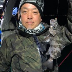 ヤザワ渡船 釣果