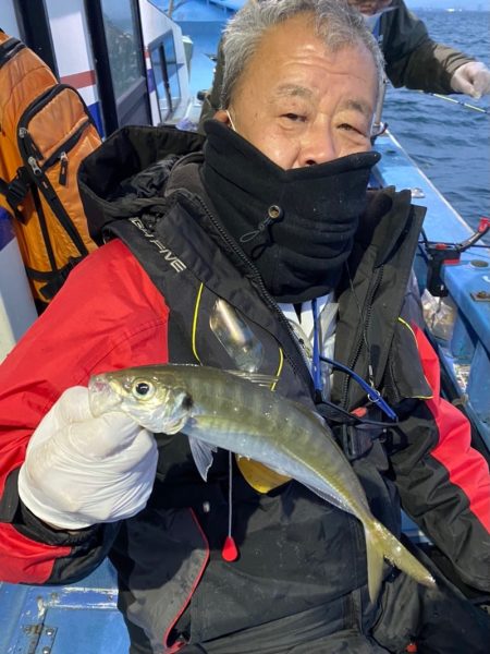 ヤザワ渡船 釣果