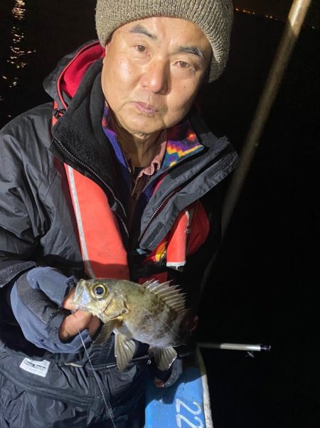 ヤザワ渡船 釣果