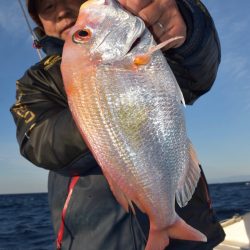 渡船屋たにぐち 釣果
