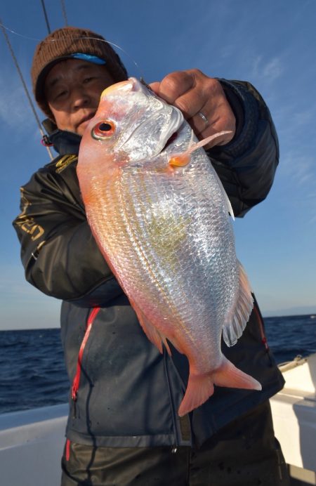 渡船屋たにぐち 釣果