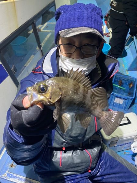 ヤザワ渡船 釣果