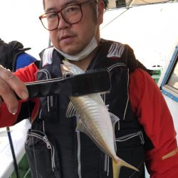 ヤザワ渡船 釣果