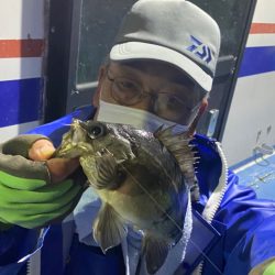 ヤザワ渡船 釣果