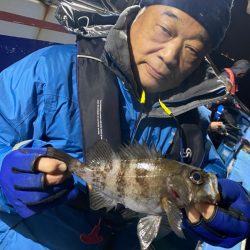 ヤザワ渡船 釣果