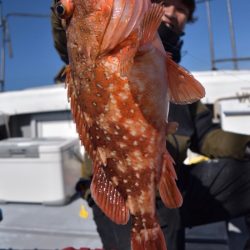 渡船屋たにぐち 釣果