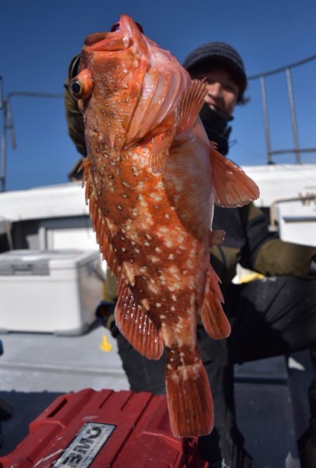 渡船屋たにぐち 釣果
