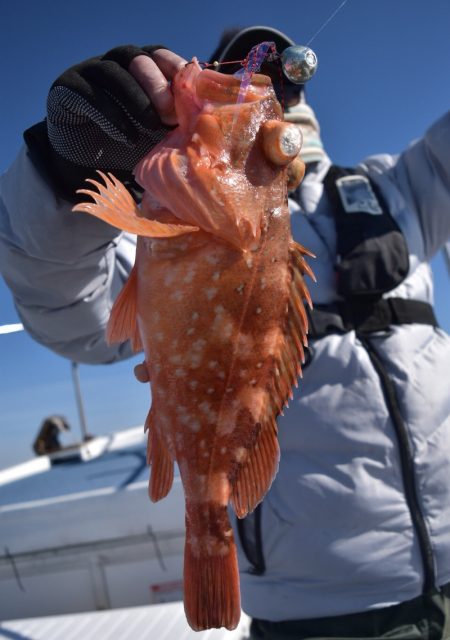 渡船屋たにぐち 釣果