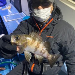 ヤザワ渡船 釣果