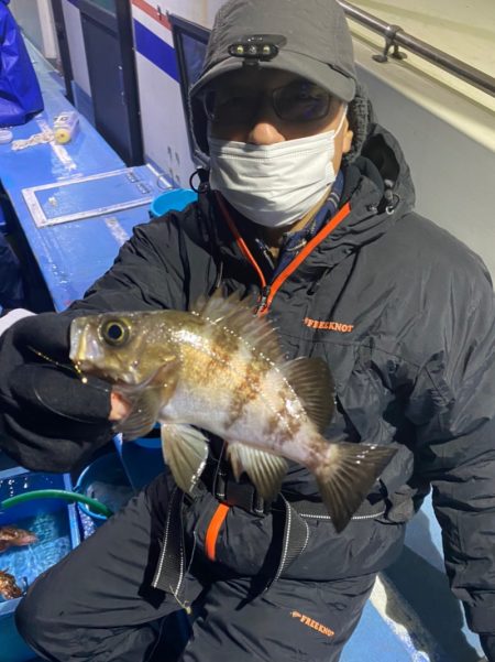 ヤザワ渡船 釣果