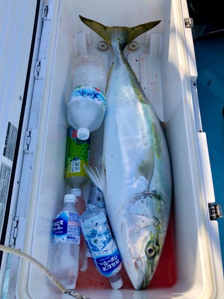 第二八坂丸 釣果