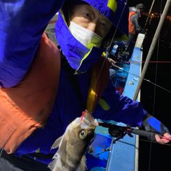 ヤザワ渡船 釣果