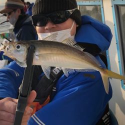ヤザワ渡船 釣果
