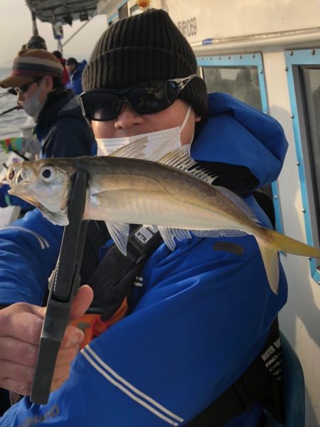 ヤザワ渡船 釣果