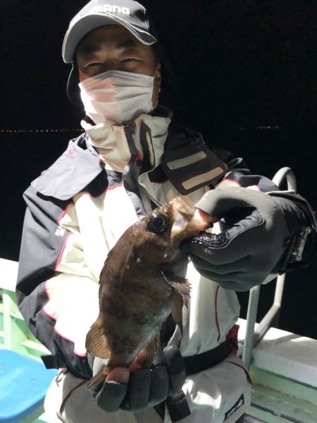 ヤザワ渡船 釣果