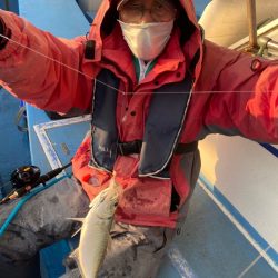 ヤザワ渡船 釣果